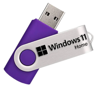 Recovery USB For Windows 11 Home Repair and Reinstall
