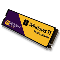 Preinstalled Windows 11 Professional M.2 SSD Drive 240GB 480GB 1TB 2TB