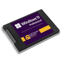 Preinstalled Windows 11 Professional SSD Drive 240GB 480GB 1TB 2TB