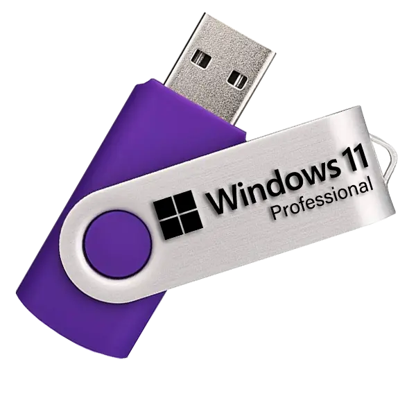 Recovery USB For Windows 11 Professional Repair and Reinstall