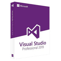 Microsoft Visual Studio 2019 Professional 1PC Device