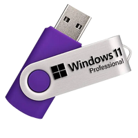 Recovery USB For Windows 11 Professional Repair and Reinstall