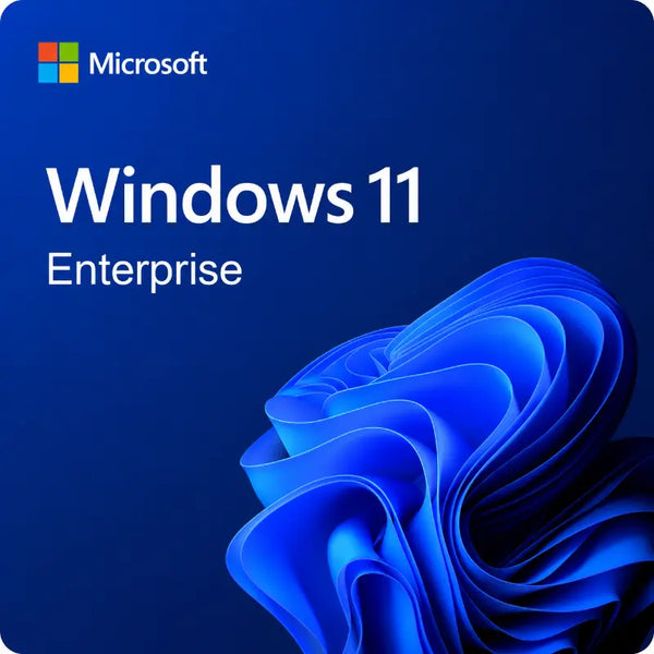 Microsoft Windows 11 Enterprise 64 Bit 1PC Product Key